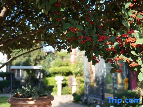 Xingye Garden · Kaiman Vacation and Leisure Homestay (Lijiang Sanyi Airport Branch)