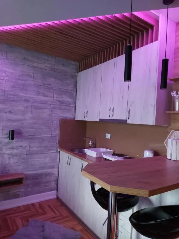 Apartman Studio Milica I