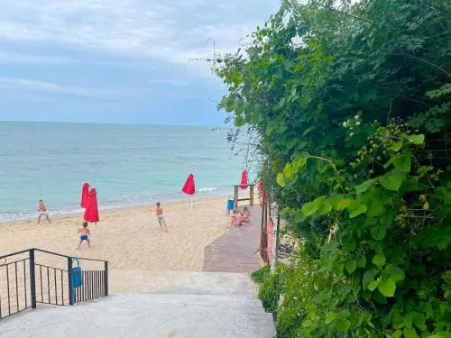 Complex Terazini