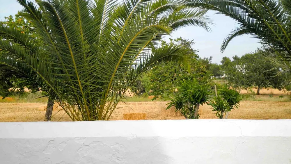 Casa Moreno