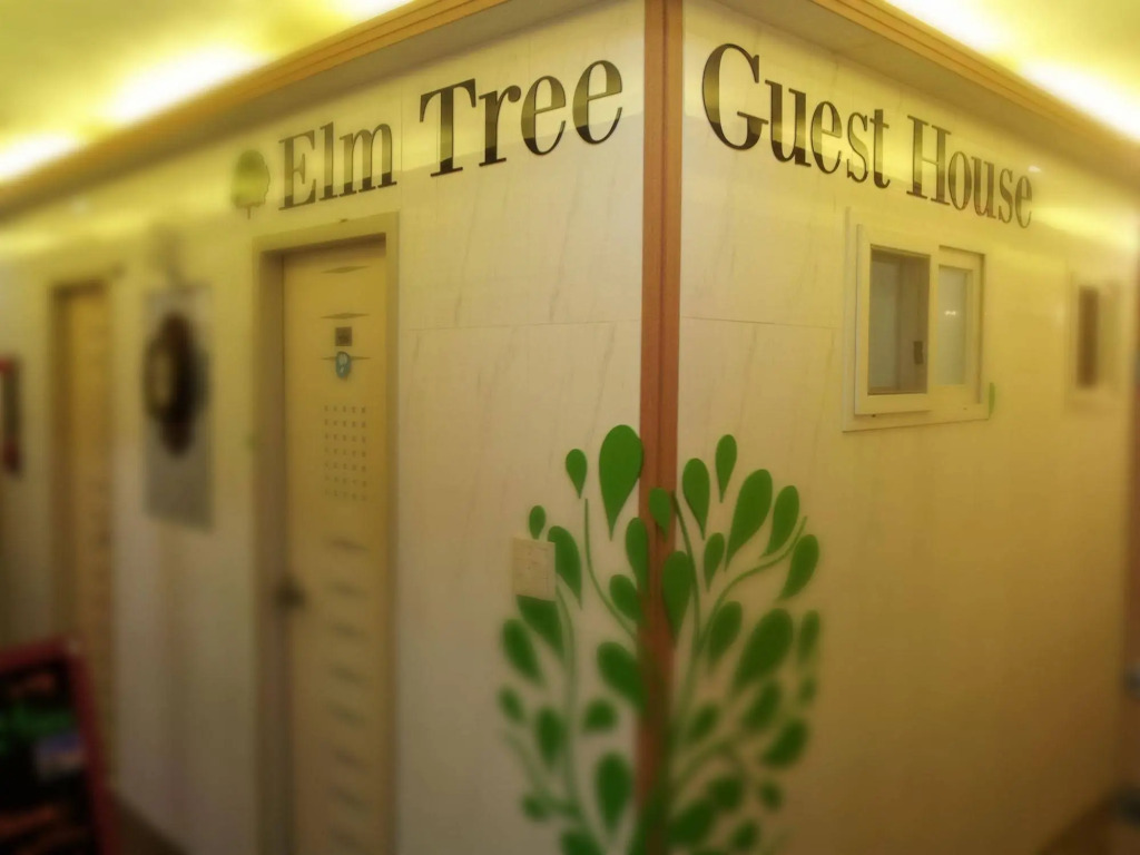 Elm Tree Guesthouse Myeongdong