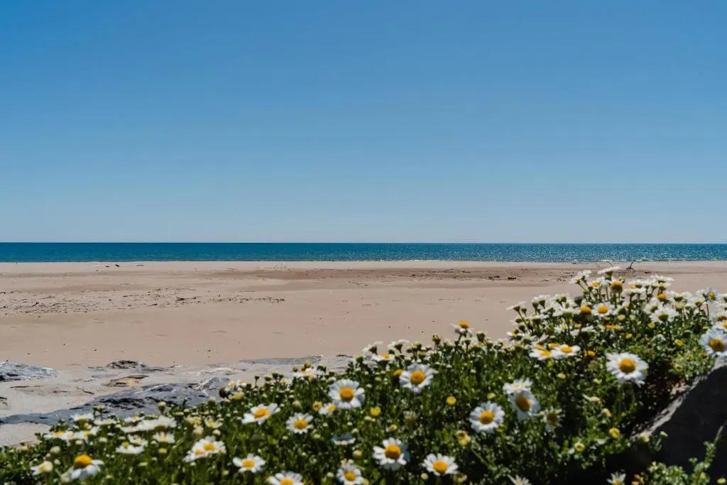 G11 : Appartement T2 4 couchages NARBONNE-PLAGE