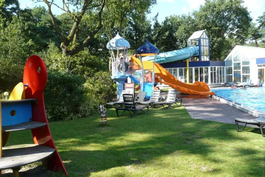 Dolfijn