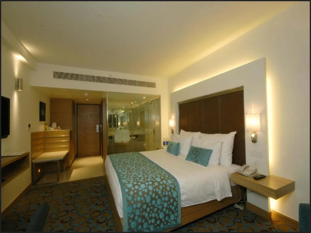 Pride Plaza Hotel, Ahmedabad