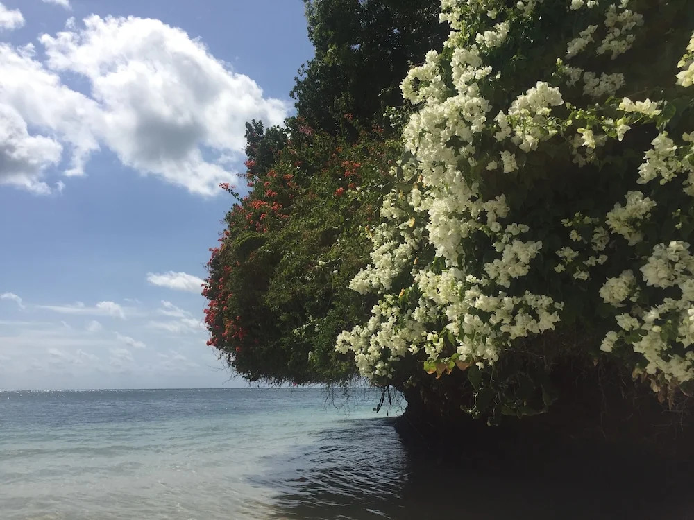 Simba Wa Kale Luxury Resort Malindi