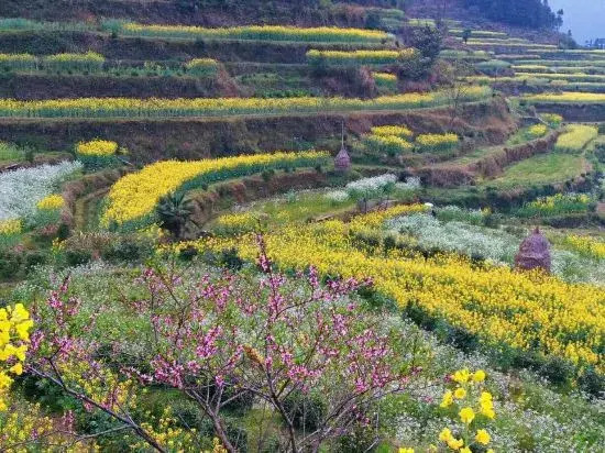 Jiangling Scenery Inn