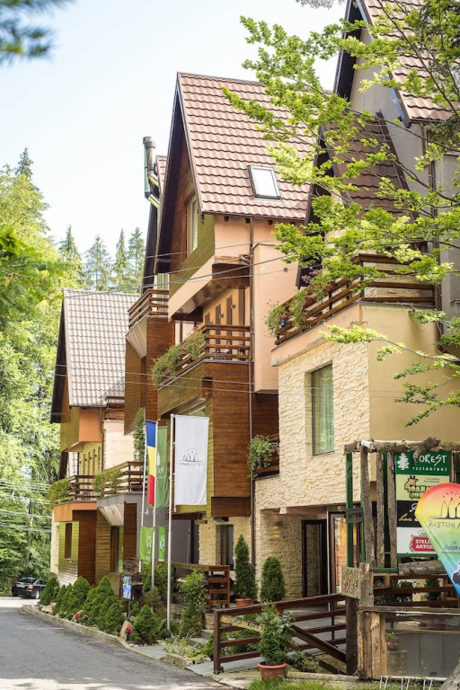 Villa Casa Ioana
