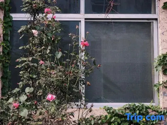 Heming Homestay (Tai'an Branch)