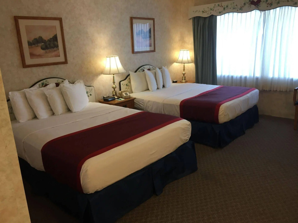 Swiss Alps Inn