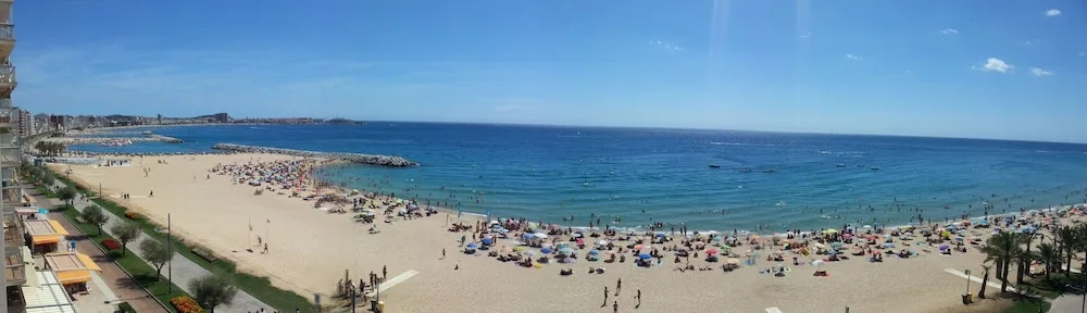 Rosa dels Vents