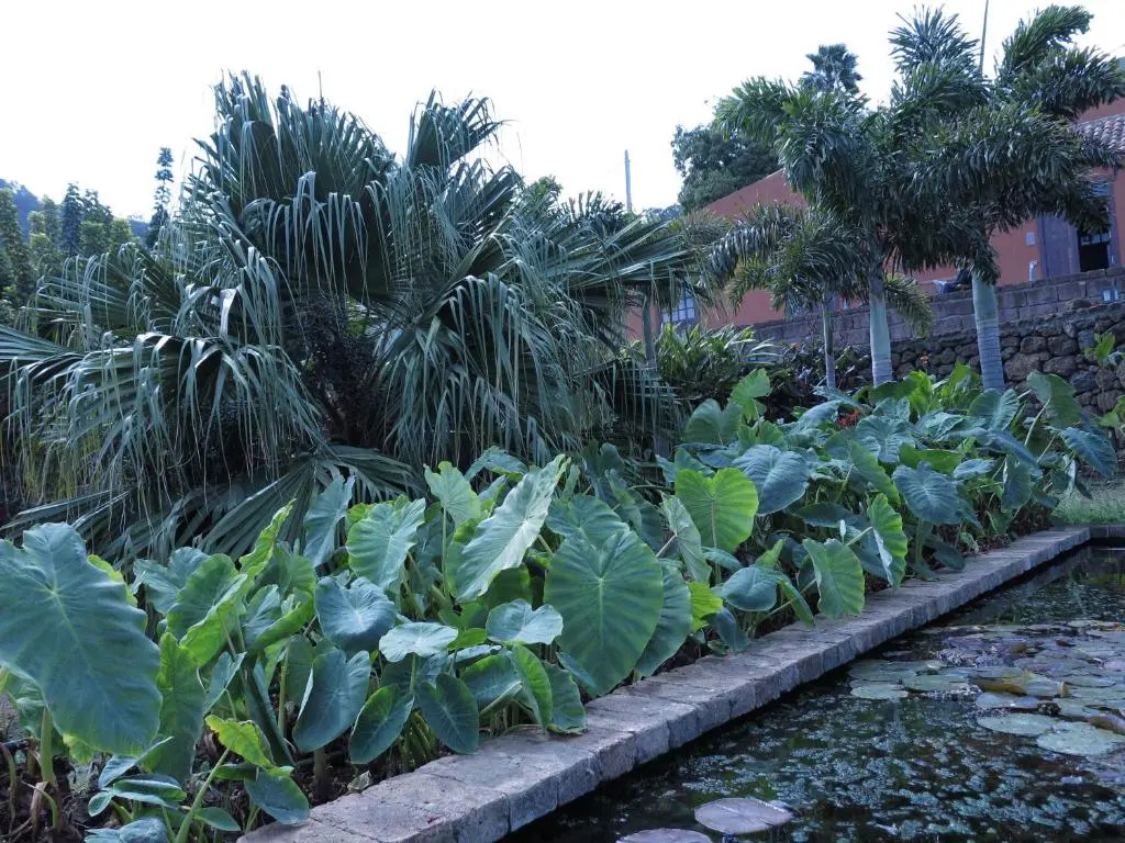 Haciendas del Valle - Las Kentias