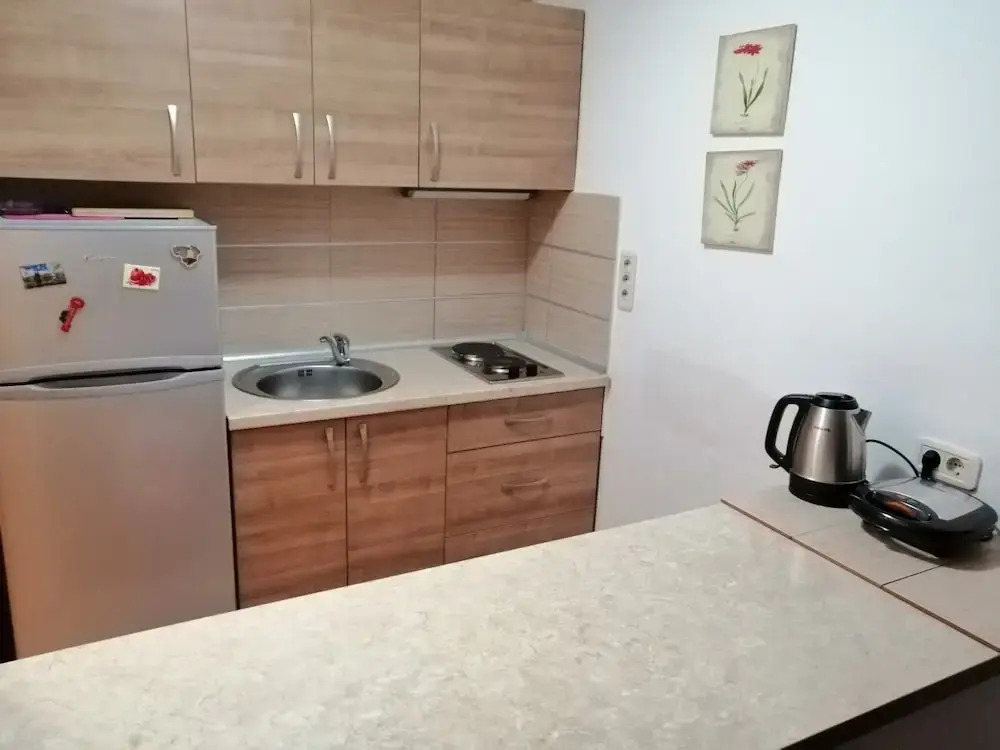 Apartment Golub