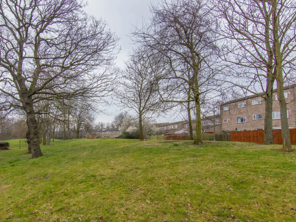 Outfield Homes