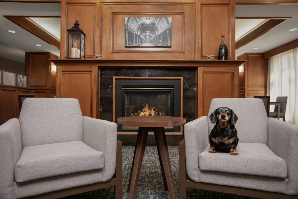 Hampton Inn Waterloo