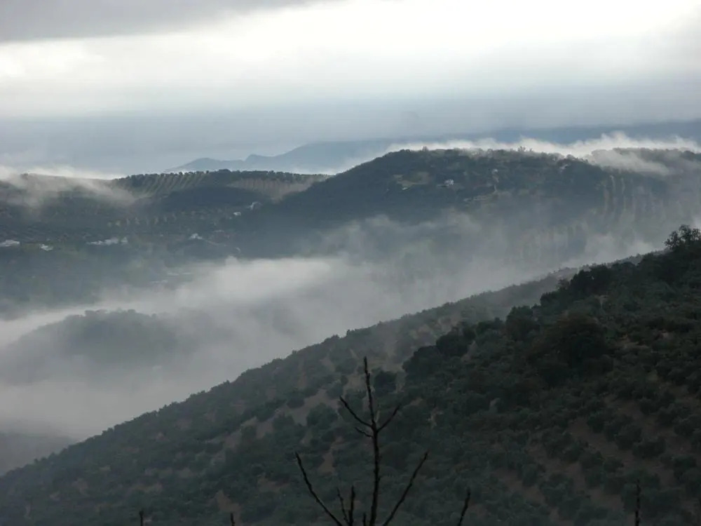 Cortijo La Haza