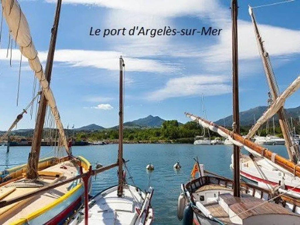 Appartement Argelès-sur-Mer, 2 pièces, 4 personnes - FR-1-225-101
