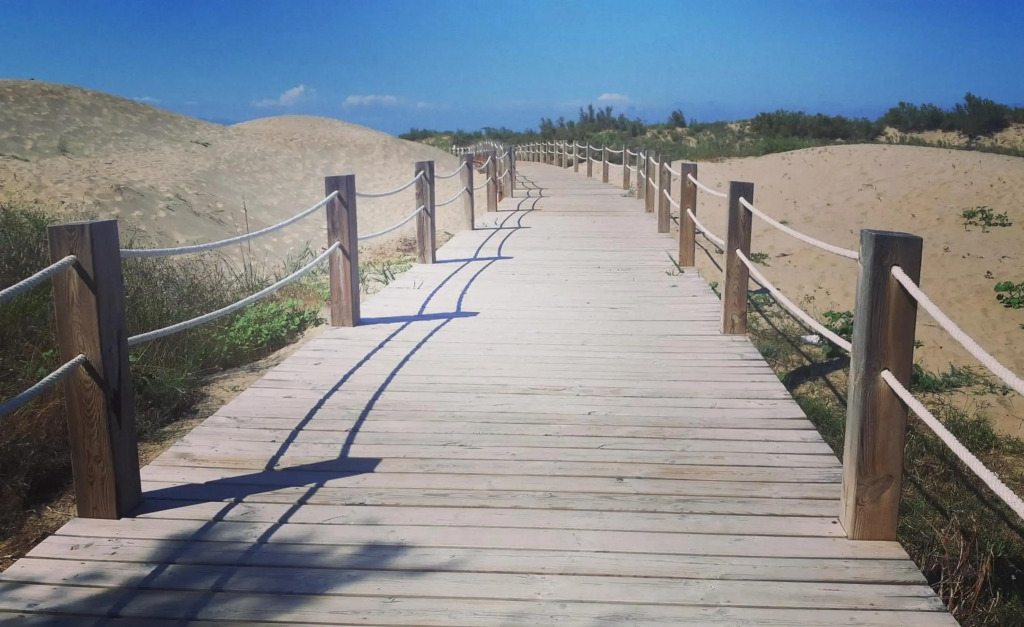 Somnis del Delta