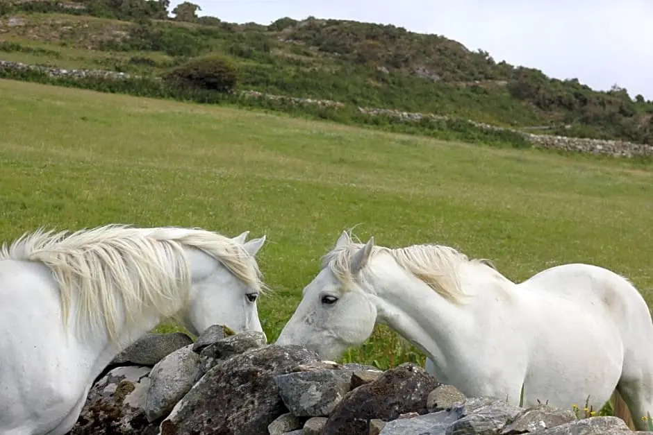Clifden Bay Lodge