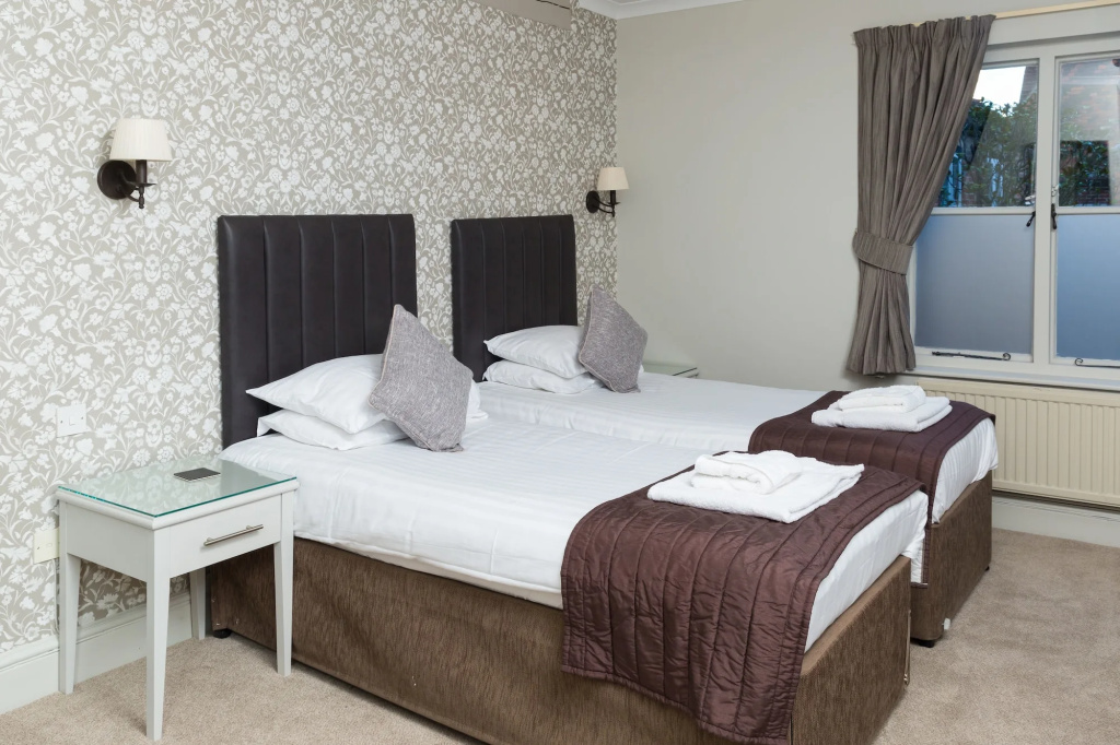 The Dog & Bear Hotel