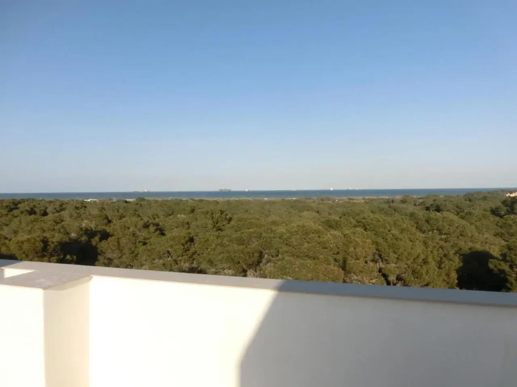 Hotel Residencia Patilla II