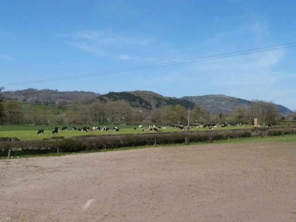 2 Bed in Welshpool oc-75703