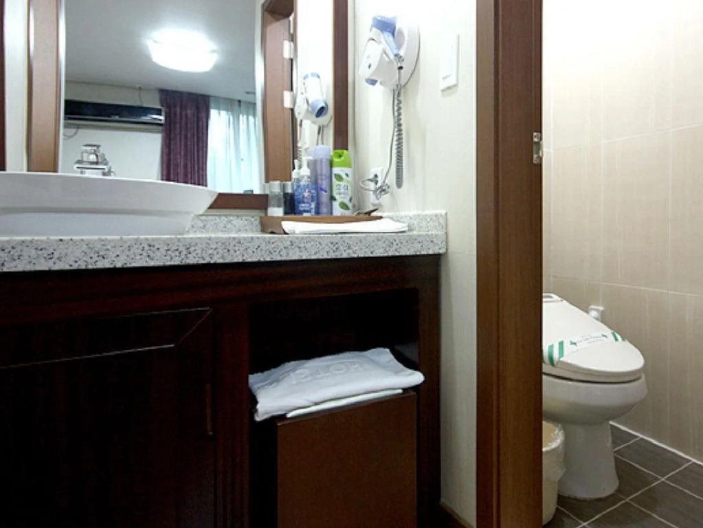 Hotel Anesville