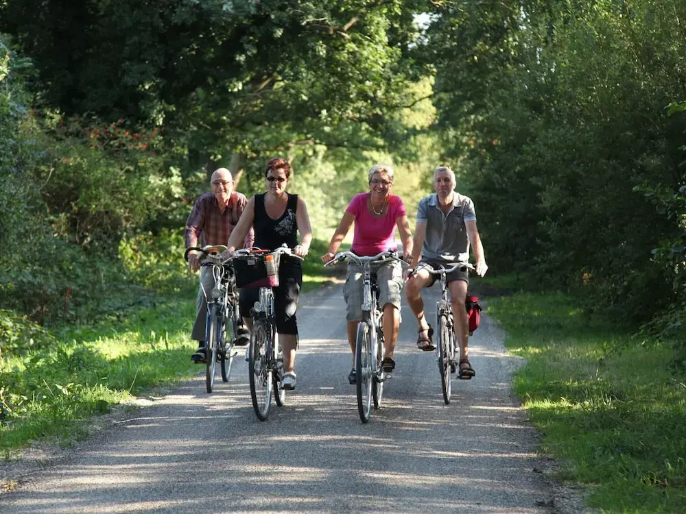 Pet-friendly Villa in Park Ankeveen