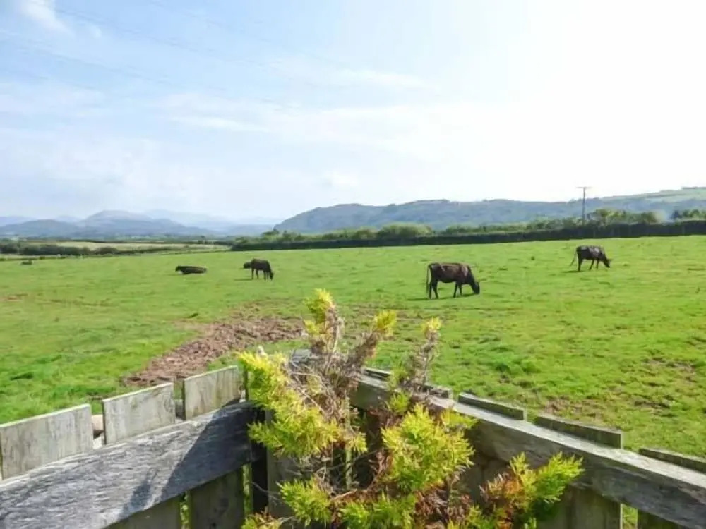 Muncaster View
