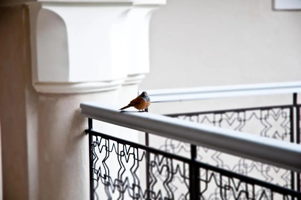 Riad Nashira & Spa