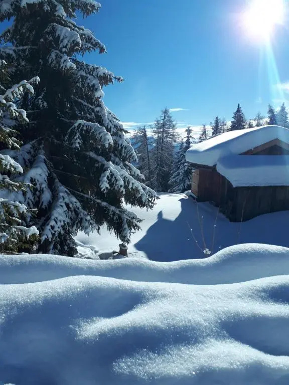 Apartment Bruneck Central