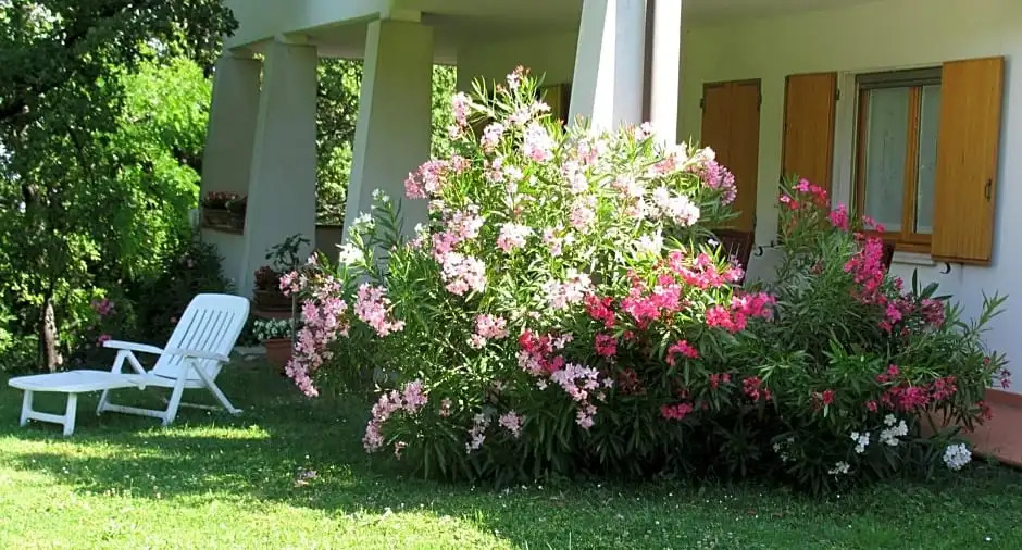 La Casa Dei Boschi