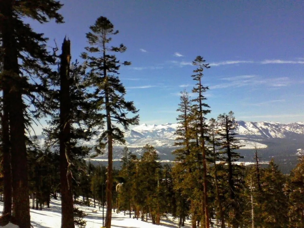 Book Now! 1 Min To Heavenly, 5 Min To Casinos & Lake! 4 Bedroom Cabin