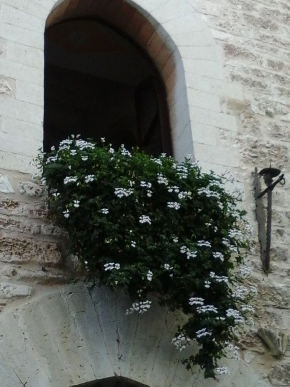Palazzetto Bentivoglio