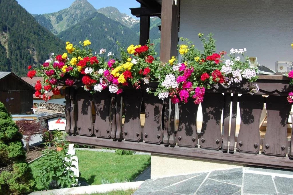 Apartment Rotbühlspitze
