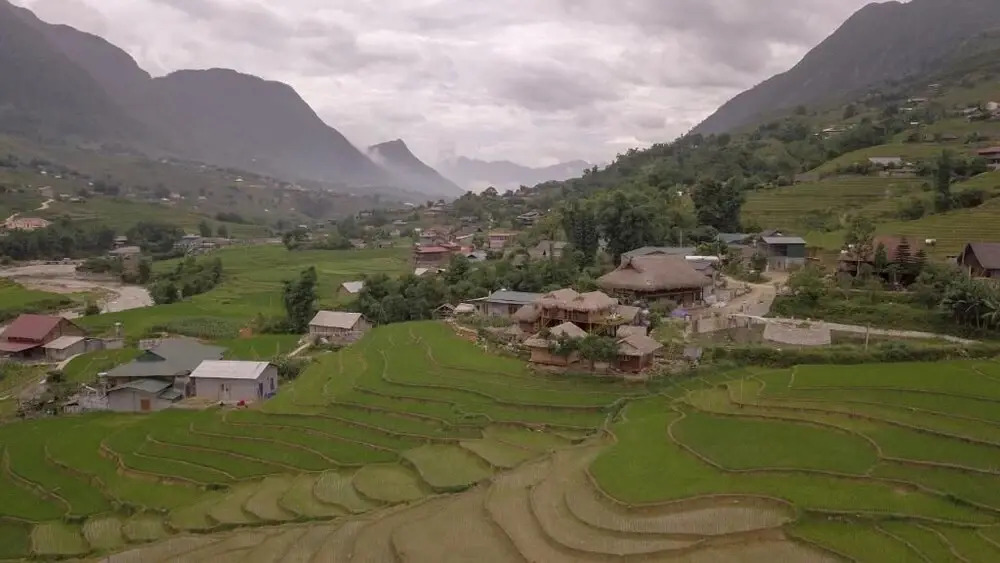 Golden Rice Garden Sapa