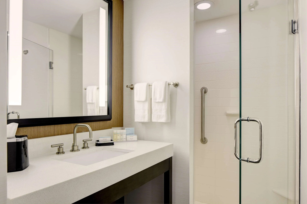 Hampton Inn Brooklyn Downtown