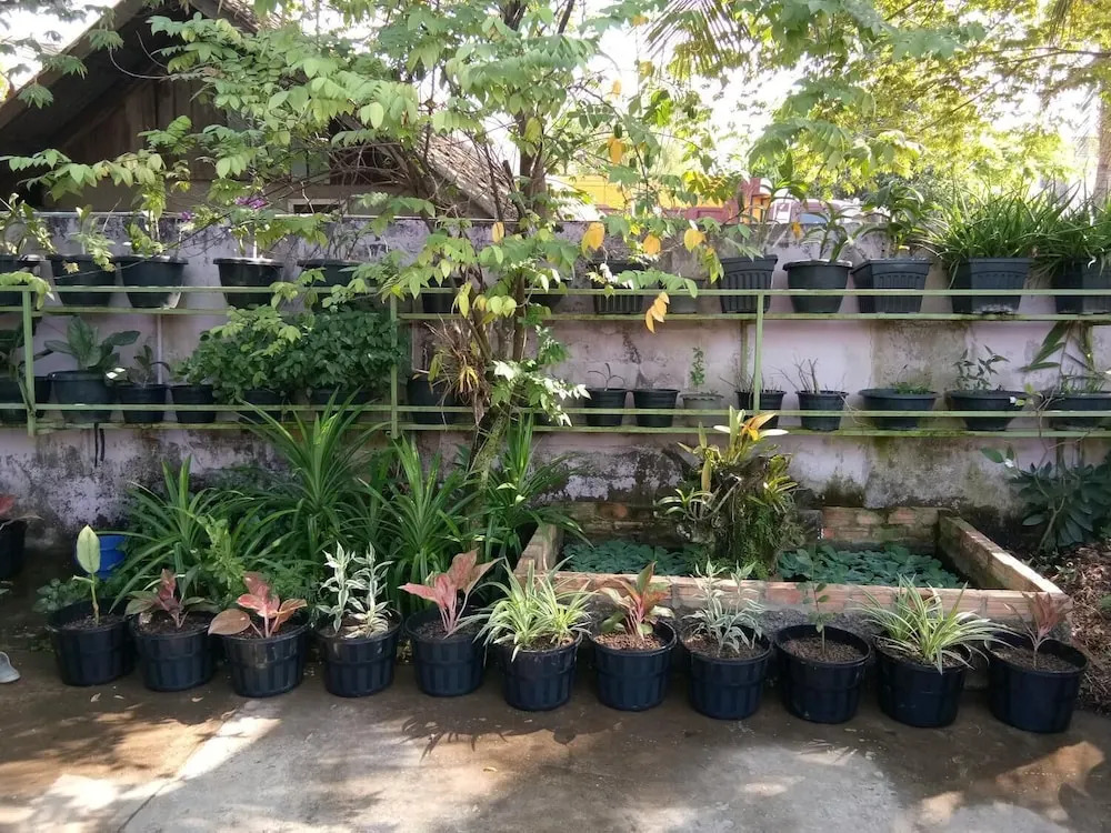 NT backpackers - Hostel