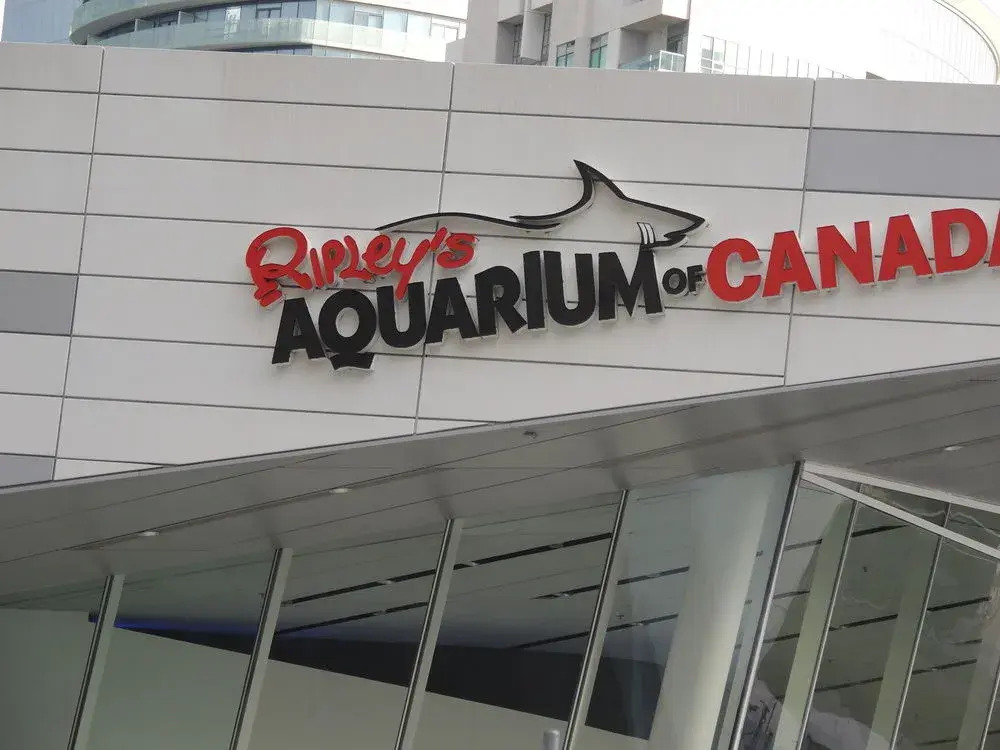 Toronto Vacation Home Rentals