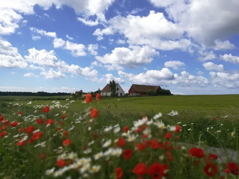 Gården mellan Slotten