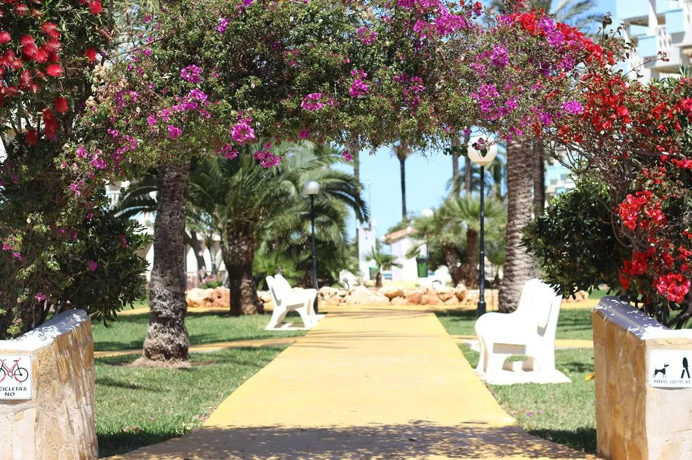 Apartamentos Óliver Playa