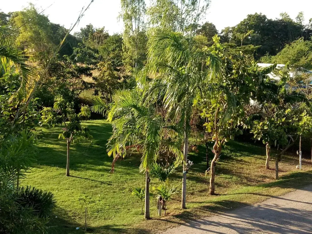 Kienglerng Resort