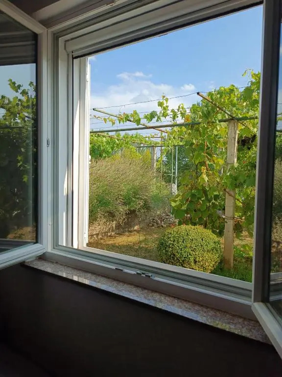 Apartman Dalmatinka