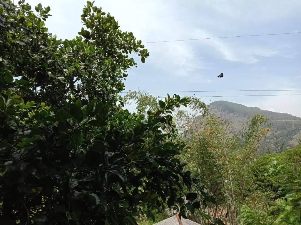 Little paradise Homestay