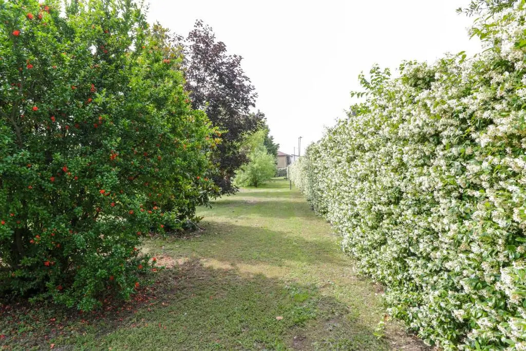 Residenza Cartiera 243 Country House