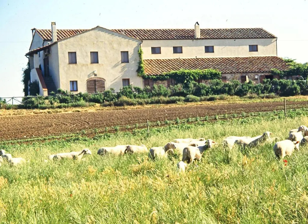 LaSelva