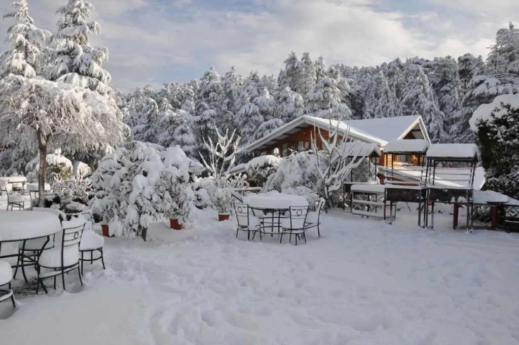 The Chalets Naldehra