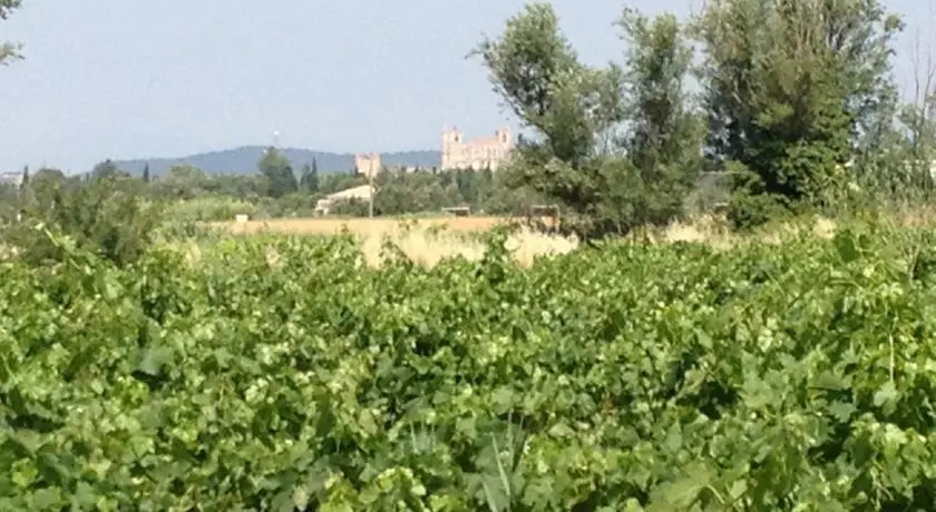Domaine de Gleizes