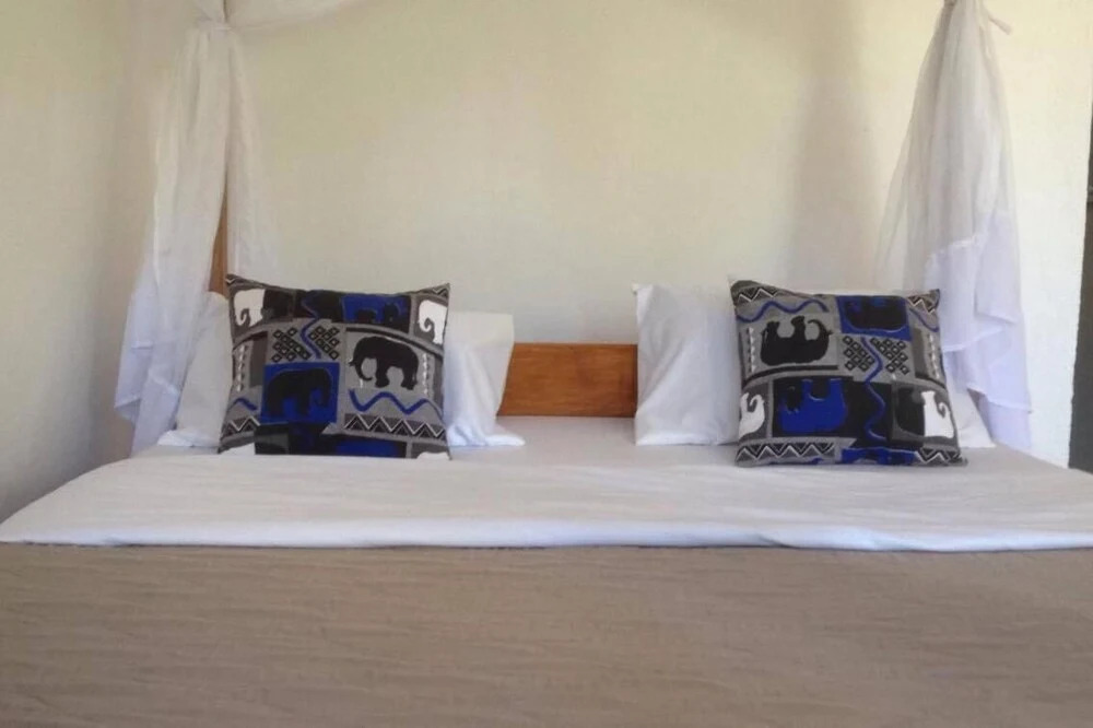 African wagtail hostel