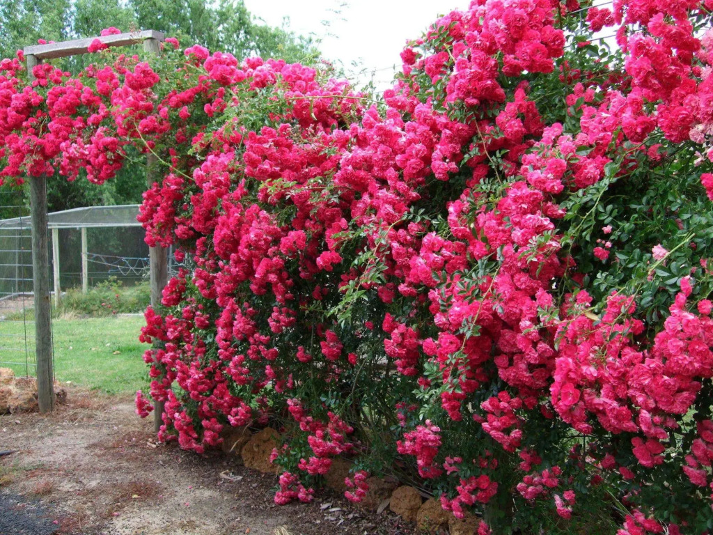 Mossbrook Country Estate Bed & Breakfast