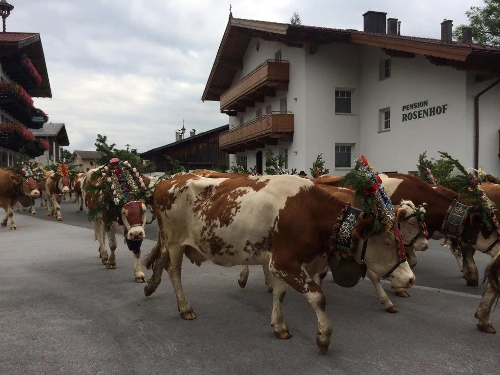 Pension Rosenhof